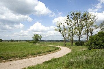 country ground winding road