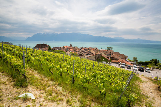 View of the vineyards of Lavaux on Lake Geneva