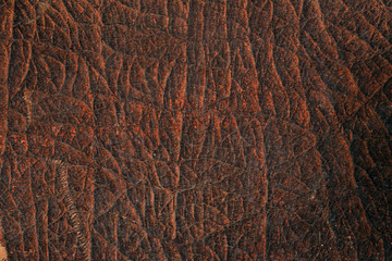 texture of old worn leather