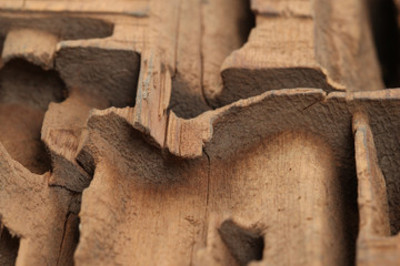 old block cutting wood