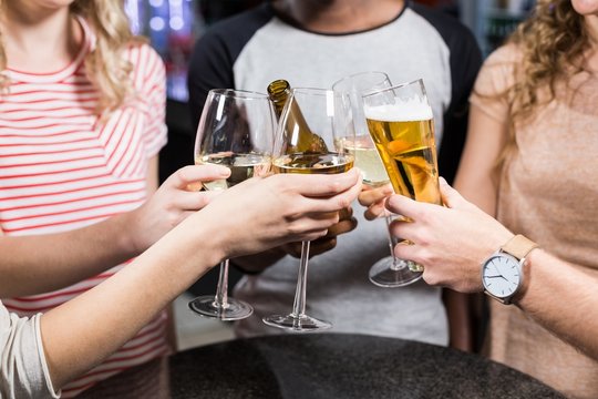 Group Of Friends Toasting With Beer And Wine