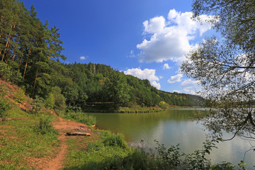 Fototapeta premium rzeka w pobliżu lasu