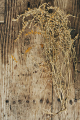 Dried wormwood on the rustic board