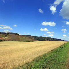 Fototapeta na wymiar road in a field