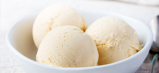 Vanilla Ice Cream in bowl Organic product