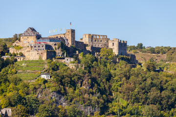 Fototapeta na wymiar Burg Rheinfels 