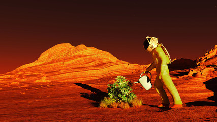 The plant image on Mars 3D illustration © Sergey Drozdov