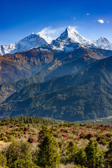 L& 39 Annapurna Sud au Népal