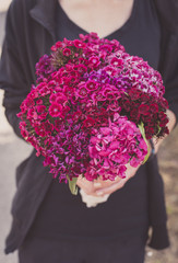 Girl holding a bouquet of Turkish carnations flowers