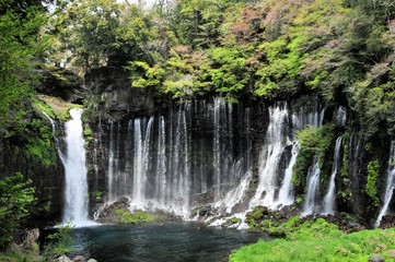 Fototapeta na wymiar 白糸の滝 