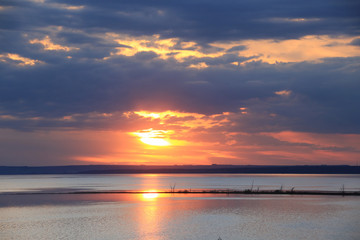blossoming apple tree on the river bank