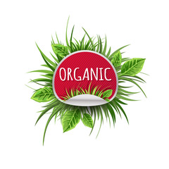 Icon organics. Label for organic products or cosmetics. Green grass and leaves. Lettering. Vector design