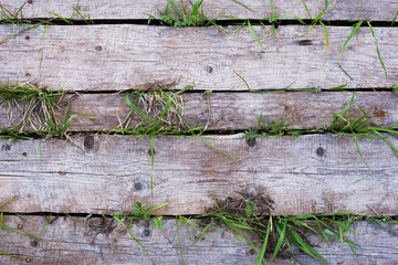 board path