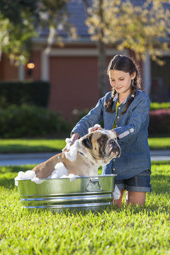 Girl Child Washing Her Pet Dog In A Tub