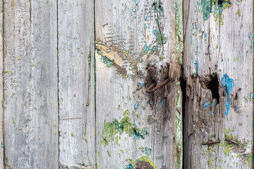 Old wooden doors, textures