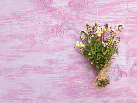 Wild Yellow Pansy Flowers Bouquet