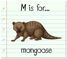 Flashcard letter M is for mongoose