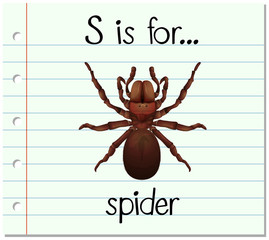 Flashcard letter S is for