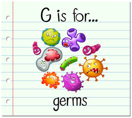 Flashcard letter G is for germs