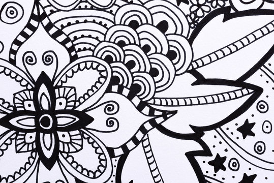 Adult coloring book hand drawn illustration, new stress relieving trend
