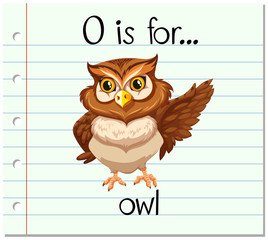 Flashcard letter O is for owl