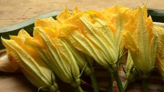 Cucurbita pepo Adi balqabaq Zucchini flowers Summer squash Gartenk&uuml;rbis Flores Fiori di zucchine Courges d'&eacute;t&eacute; Sierpompoen Abobrinha Fiori di zucca Dynia zwyczajna Тыква обыкновенная 北瓜 ペポカボチャ