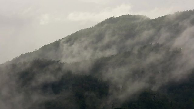 Mist fog over rain forest tree top mountain, Timelapse