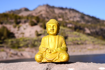 One Ancient Buddha Statue