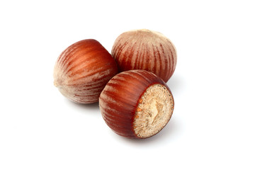 Hazelnut whole in shell isolated.