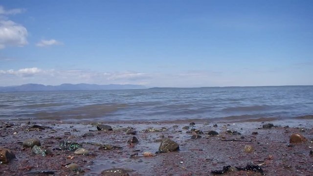 mer