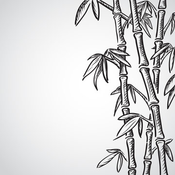 Background with bamboo stems
