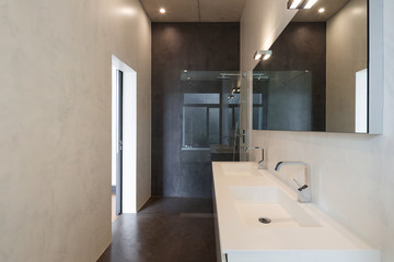 Interior, bathroom with sink and shower