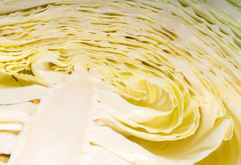 white  cabbage, texture of cut white  cabbage showing inside curly surface