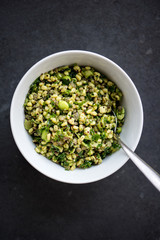 Healthy and Herby Salad with Wheatberries and Green Vegetables