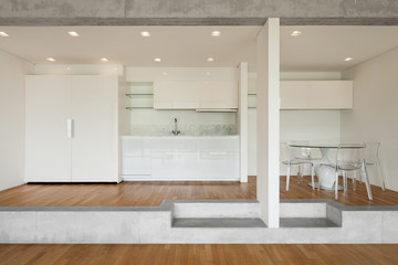 Fototapeta premium modern kitchen of concrete apartment