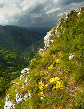 Canyon of Tara River, Montenegro