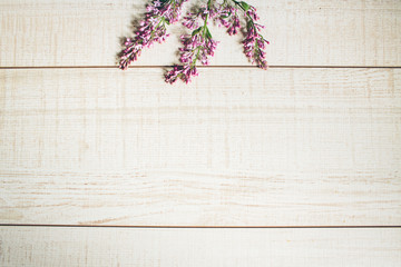 Beautiful background of lilac flowers. Toned.