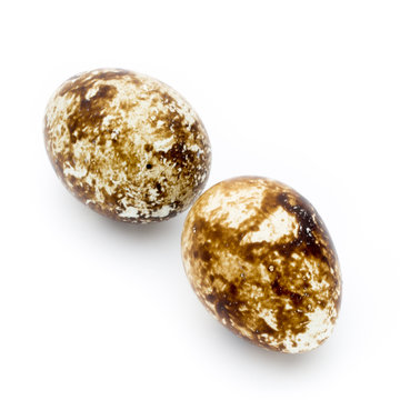 Quail eggs the isolated on a white background.