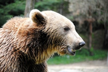 Ours