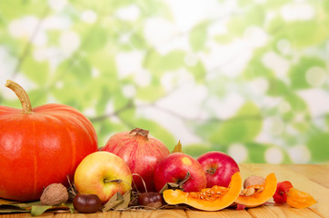 Autumn Gifts: pumpkin, apples, pomegranates  on abstract green background.