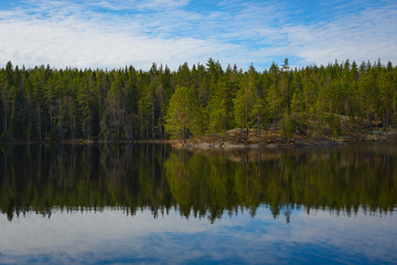 Fototapeta na wymiar Small lake in national park in Finland