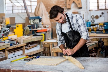 Carpenter working on his craft