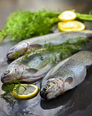 Raw rainbow trouts on a stone board, with herbs and lemon, ready for cooking