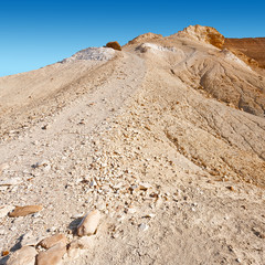 Negev Desert