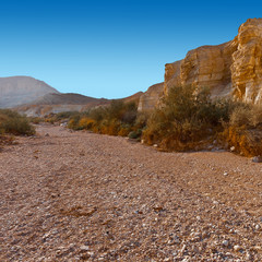 Desert in Israel