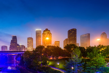 Fototapeta na wymiar Houston Park and Skyline