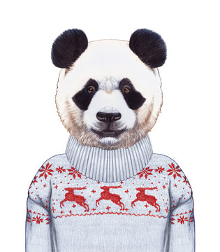 Animals as a human. Portrait of Panda in sweater. Hand-drawn illustration, digitally colored.