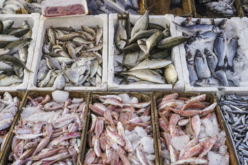 raw fish