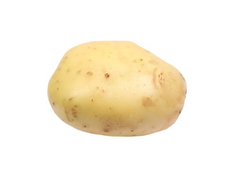 potato isolated on white background