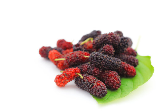 Mulberries on white background.